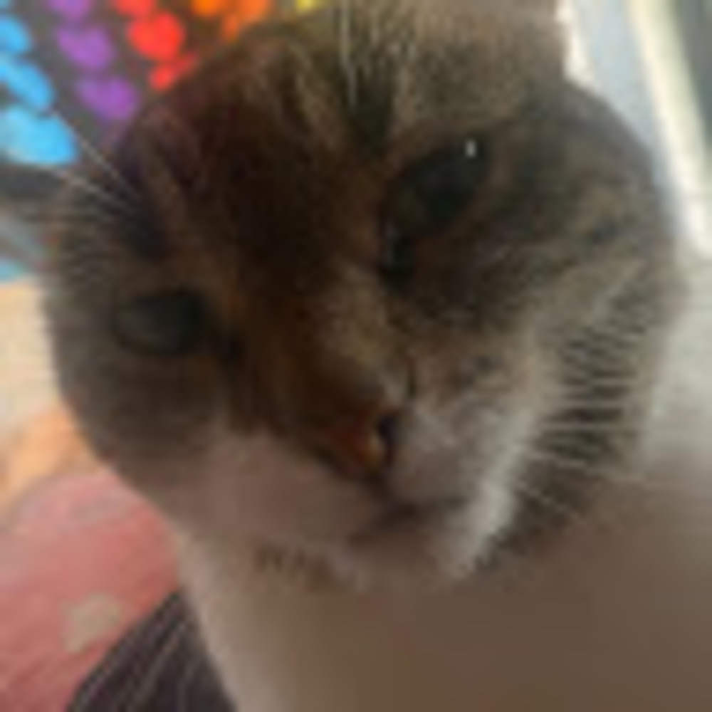 Meet your Posher, Mar